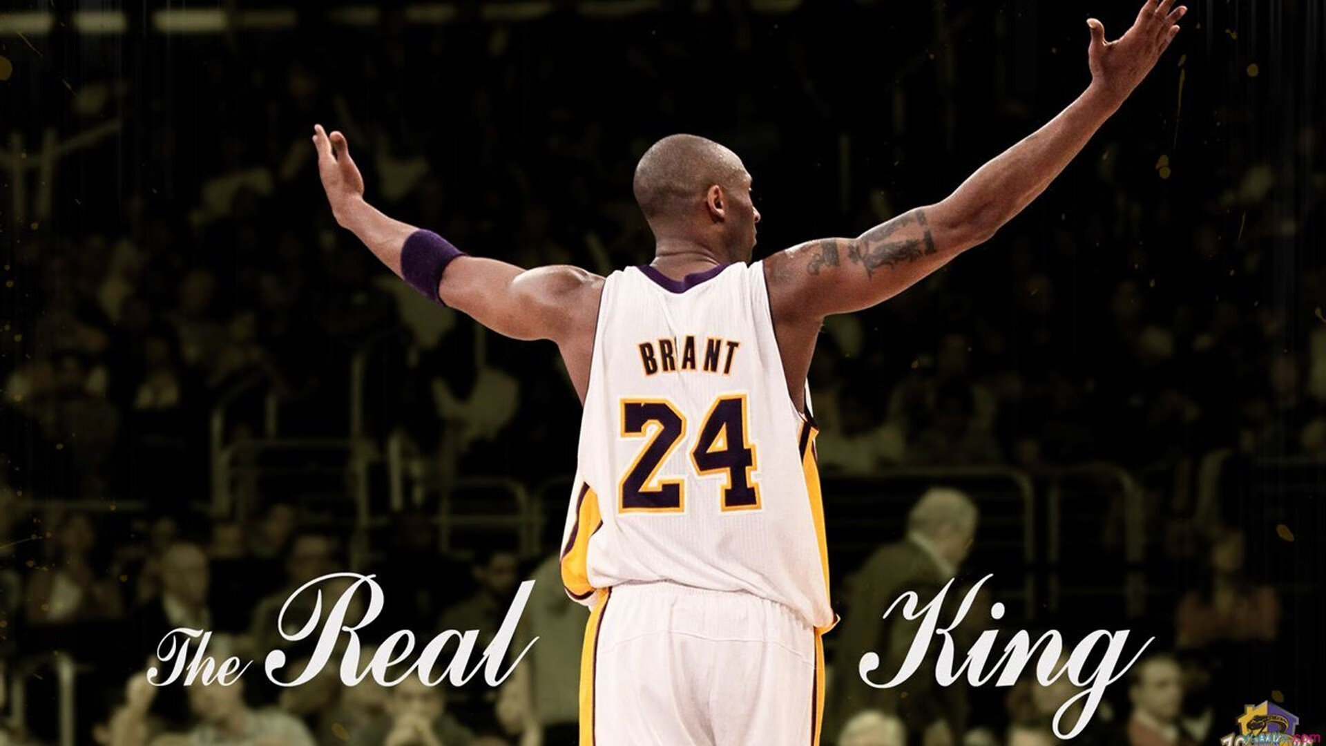 火力压制与中场铁闸,韩国雷恩之战,赖斯用实力定义唯一性